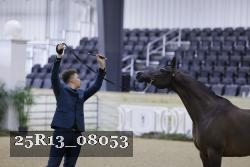 25R13_08053 thumbnail