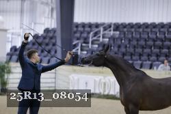 25R13_08054 thumbnail