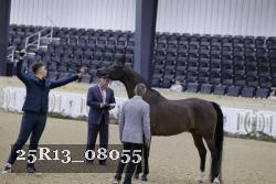25R13_08055 thumbnail
