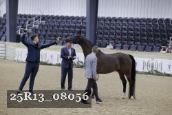 25R13_08056 thumbnail