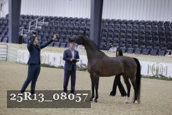 25R13_08057 thumbnail