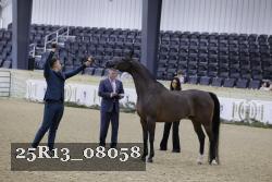 25R13_08058 thumbnail
