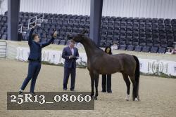 25R13_08060 thumbnail