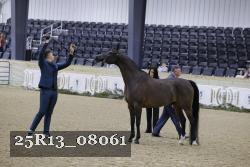 25R13_08061 thumbnail