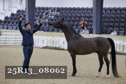 25R13_08062 thumbnail
