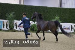 25R13_08063 thumbnail