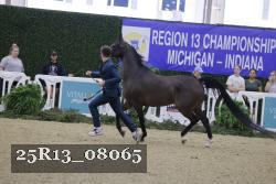 25R13_08065 thumbnail