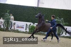 25R13_08066 thumbnail