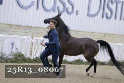 25R13_08067 thumbnail
