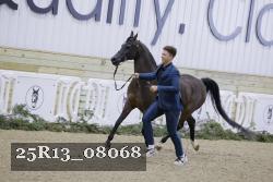 25R13_08068 thumbnail