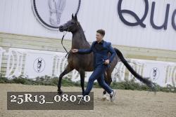 25R13_08070 thumbnail