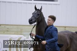25R13_08071 thumbnail