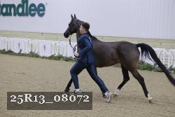 25R13_08072 thumbnail