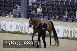 25R13_08073 thumbnail