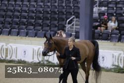 25R13_08074 thumbnail