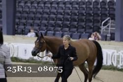 25R13_08075 thumbnail