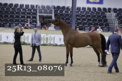25R13_08076 thumbnail