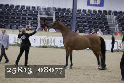 25R13_08077 thumbnail