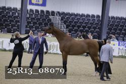 25R13_08079 thumbnail