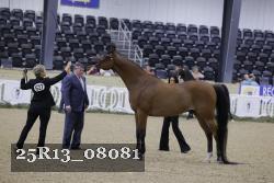 25R13_08081 thumbnail