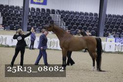 25R13_08082 thumbnail