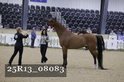 25R13_08083 thumbnail