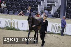 25R13_08084 thumbnail