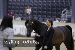 25R13_08085 thumbnail