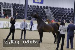 25R13_08087 thumbnail