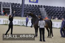 25R13_08089 thumbnail
