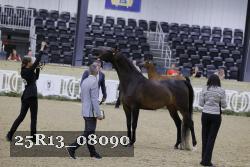 25R13_08090 thumbnail