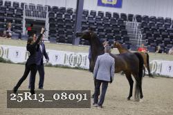 25R13_08091 thumbnail