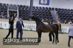 25R13_08092 thumbnail