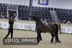 25R13_08093 thumbnail