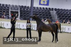 25R13_08094 thumbnail