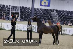 25R13_08095 thumbnail