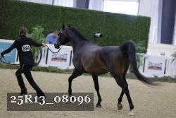 25R13_08096 thumbnail