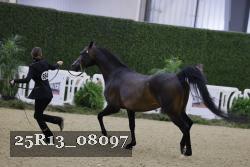 25R13_08097 thumbnail