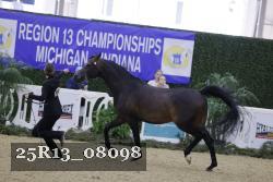 25R13_08098 thumbnail