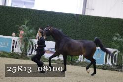 25R13_08100 thumbnail