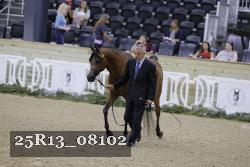 25R13_08102 thumbnail