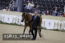 25R13_08103 thumbnail