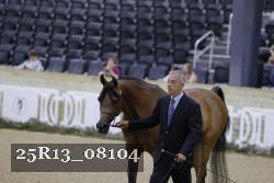 25R13_08104 thumbnail