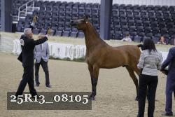 25R13_08105 thumbnail