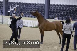 25R13_08106 thumbnail