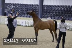 25R13_08107 thumbnail