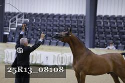 25R13_08108 thumbnail