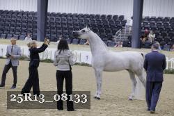 25R13_08133 thumbnail