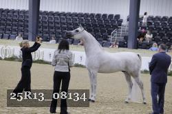 25R13_08134 thumbnail