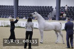25R13_08135 thumbnail